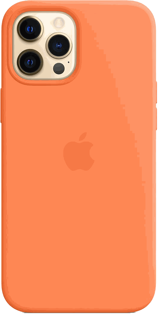 Чехол для Apple iPhone 12 Pro Max Silicone Case MagSafe «Кумкват»